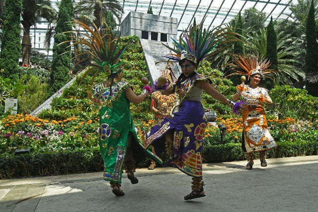 (220819) -- SINGAPORE, Aug. 19, 2022 (Xinhua) -- Traditionally-dressed Mexican dancers perform on the opening day of "Hanging Gardens - Mexican Roots" floral display, held at Flower Dome of the Singapore\