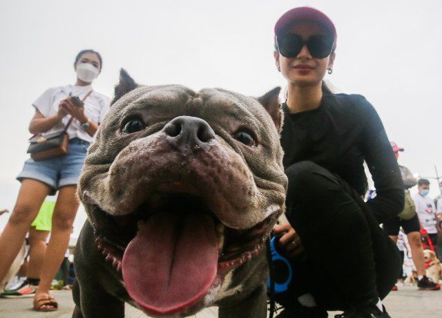 (220925) -- PASIG CITY, Sept. 25, 2022 (Xinhua) -- A woman is seen with her pet dog during the "Run Fur Life" marathon in Pasig City, the Philippines, Sept. 25, 2022. The "Run Fur Life" is a fundraising event for the benefit of maltreated, abandoned, and homeless dogs and also aims to promote animal welfare and responsible pet ownership. (Xinhua\/Rouelle Umali
