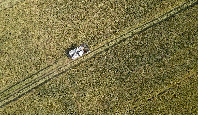 (220930) -- HEFEI, Sept. 30, 2022 (Xinhua) -- Aerial photo taken on Sept. 29, 2022 shows a farmer driving a reaper harvesting paddy in a field in Gucheng Town of Hefei, east China\