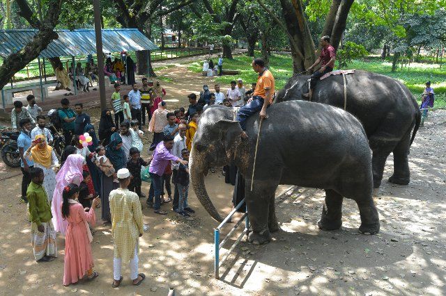 (221004) -- DHAKA, Oct. 4, 2022 (Xinhua) -- Visitors interact with elephants at the Bangladesh National Zoo in Dhaka, Bangladesh, on Oct. 4, 2022, the World Animal Day. (Xinhua